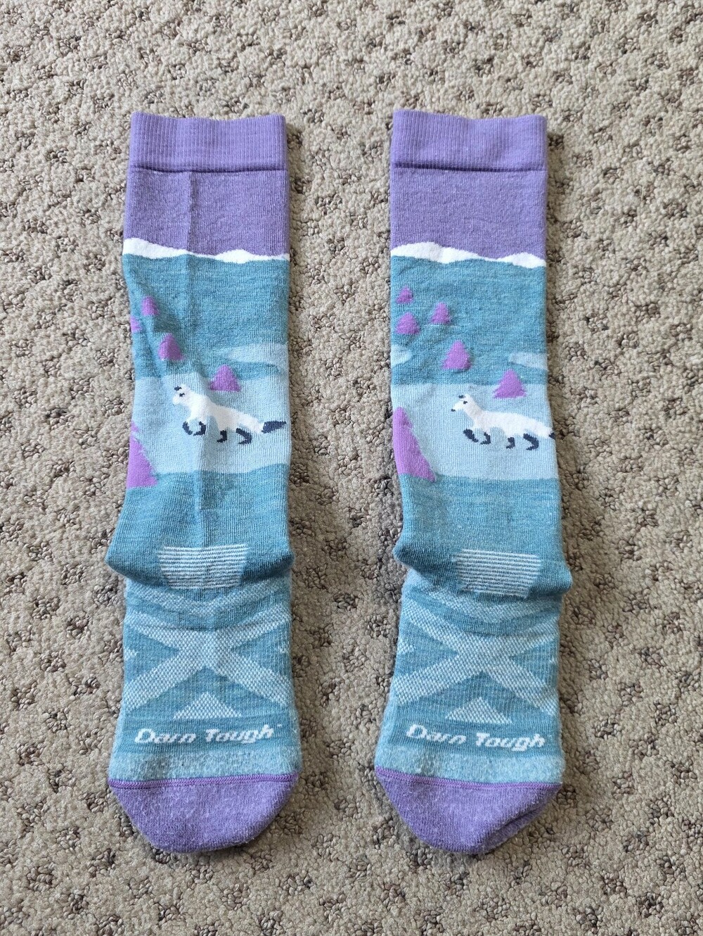 Darn Tough Over The Calf Kids Socks